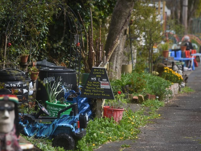 A group of residents have created a community garden in their alleyway called Strawberry Gardens