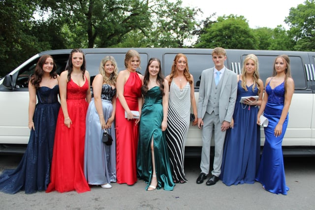 A large group posing in front of a limo
