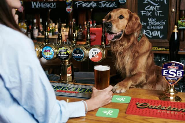 Golden Retriever Huxley enjoys a drink in the pub with friends. The Bellflower at Garstang has been named Britain's most dog friendly pub.Picture credit: © Rover.com