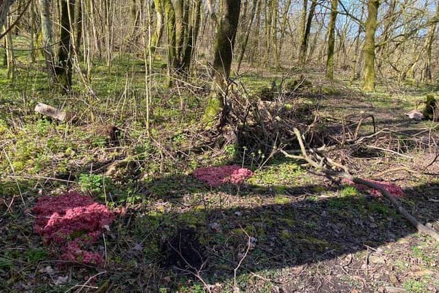 The minced meat was found dumped in The Coppice woods in Accrington. Pic credit:  Jan Gillett