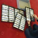 Fully trained optometrist Ishfaq Patel carries over 120 frames, making sure you will find a pair you love.