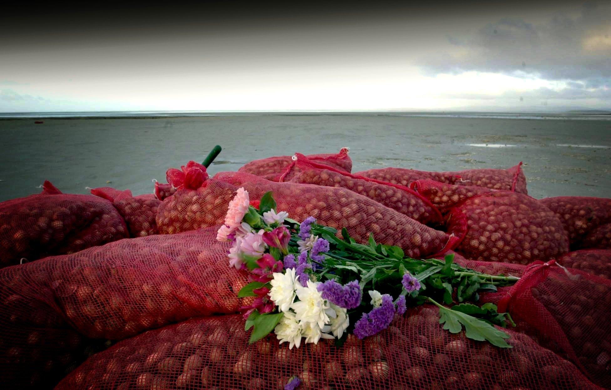 Morecambe cockling tragedy 20 years on: pictures are poignant reminder ...