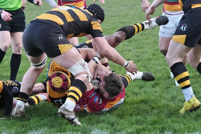 Fylde were pushed all the way by Sheffield. Photo: Chris Farrow