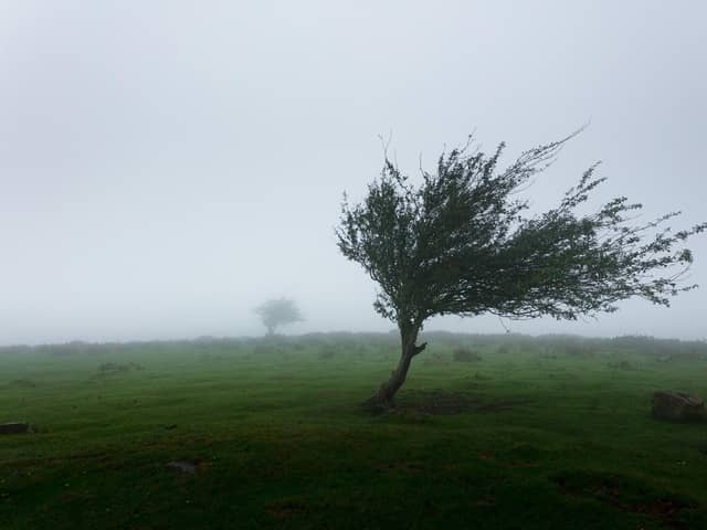 Yellow weather warning of wind in place across Lancashire on Saturday, December 9. Photo by Khamkéo Vilaysing on Unsplash