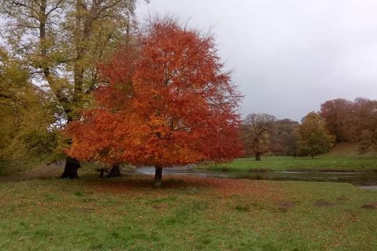 This town was (probably) the warmest in UK today as November temperatures broke Met Office records