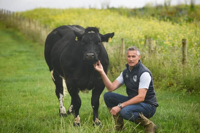 Cockerham farmer Philip Halhead is warning of the dangers of sky lanterns to wildlife and cattle Photo: Dan Martino