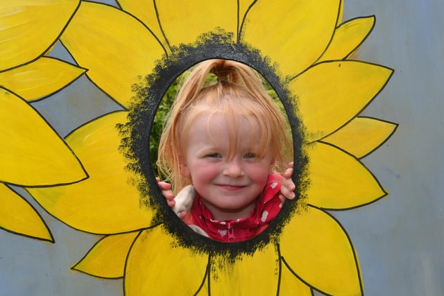 Sunflower Lacey Mingham, five