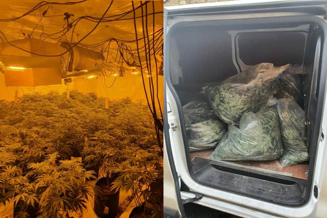 Over 180 cannabis plants were found after police raided an address in Accrington town centre (Credit: Lancashire Police)