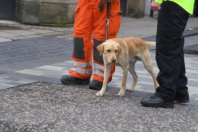 Dexter supporting the emergency services at the scene of a fire in Preston on Friday morning.