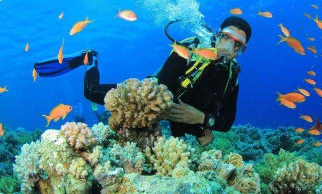 A guide to exciting sports activities in the Andaman Islands