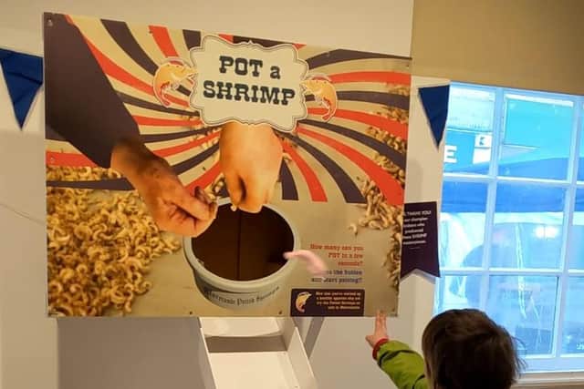 Visitors to the new exhibition at Lancaster City Museum can have a go at potting woolly shrimps!