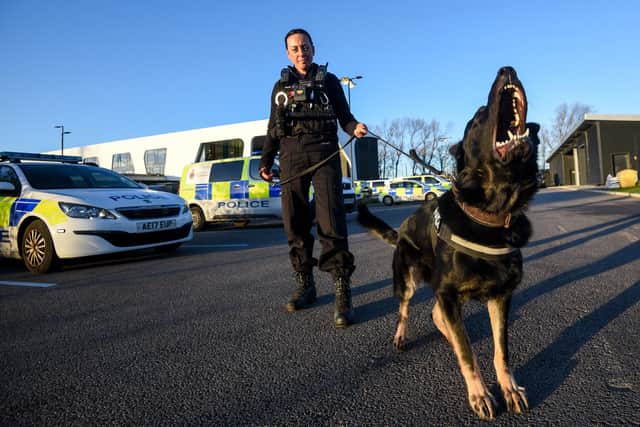 Lancashire Police dogs and handlers at HQ in Blackpool. Emma Mills with Juna.