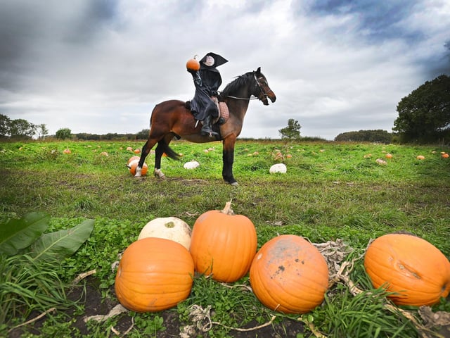 The Headless Horseman at Paul's Farm Pumpkin Patch, Leyland, as the team of volunteers are ready to host their third and final weekend of Halloween family fun.