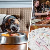 The Bellflower in Garstang has once again won the Best Pub for Dogs at the Great British Pub of the Year Awards 2023