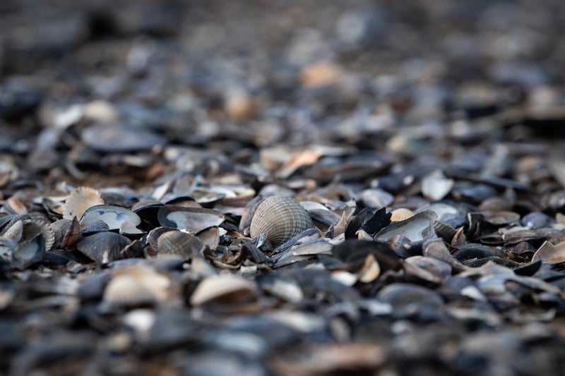 The poignant event was held on the West End beach at Morecambe.