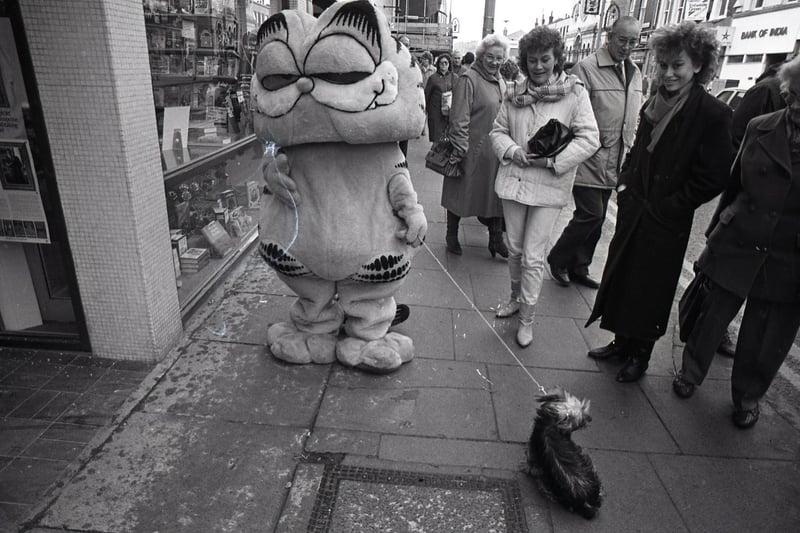 Garfield, aka Ruth Sweeten, 17, whose family own the bookshop of the same name in Fishergate, Preston, hitting the streets to promote more than two dozen Garfield books on sale there