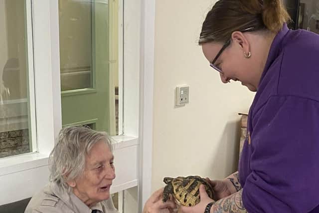 Doreen Walker, 89, meets a tortoise from Home Safari at Aaron Crest Care Home