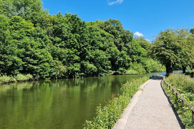 Beautiful scenery all around at Yarrow Valley Country Park