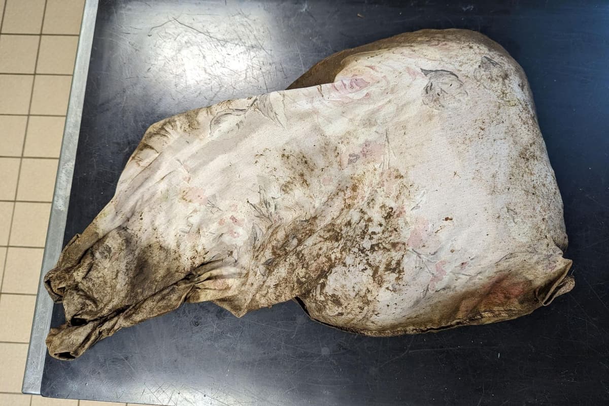 UPSETTING IMAGES: Dead dog found stuffed in pillowcase with soiled nappies and dumped ‘like household rubbish’