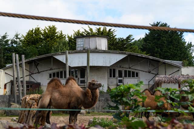 The keeper flats behind the camel enclosure at Blackpool Zoo where Animal Manager Mike Woolham lives. Photo: Kelvin Stuttard