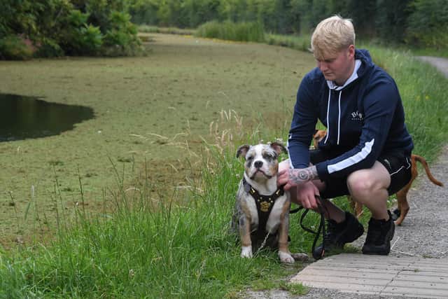 Rob Leach's six-month-old dog Kobi had to be rescued from the canal at Ashton, Preston