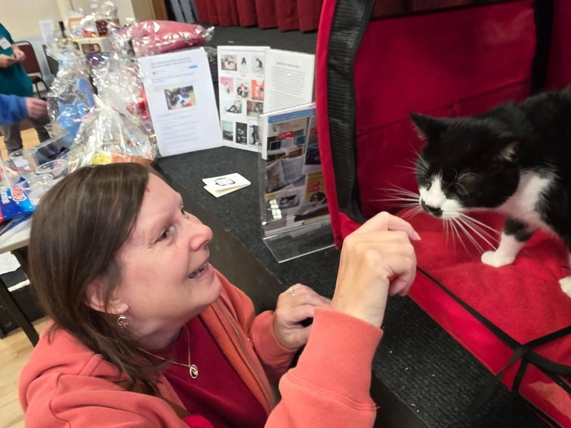 Spud The Cat With a Tash meets another adoring fan