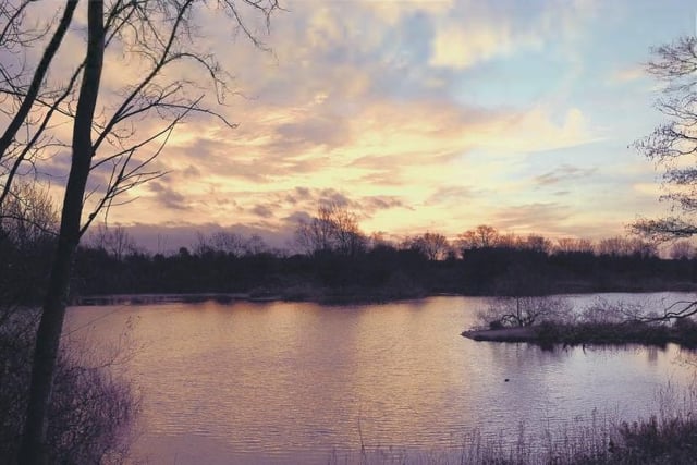Just 4 miles out of Preston City Centre, this South Ribble nature reserve forms an oasis in the middle of houses. Featuring numerous ponds and wildlife nests, there's plenty to see as you take your dog on a stroll, although dogs are advised to stay on leads.
