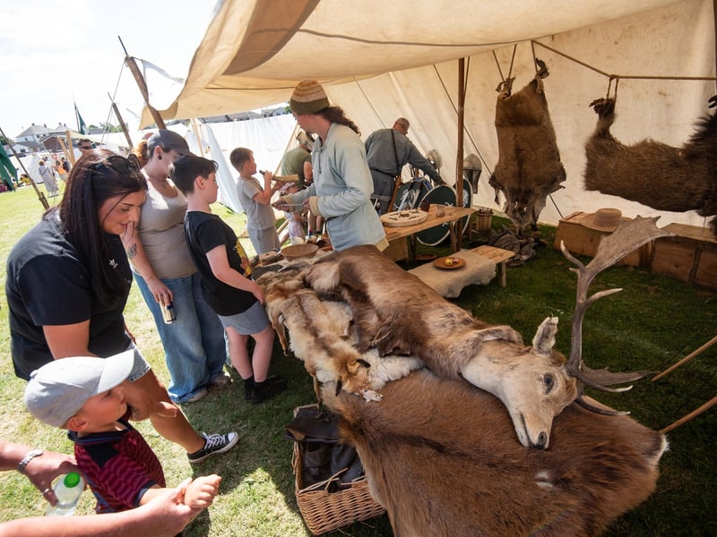 Heysham Viking Festival 2026 - a deer laid out on pelts taken from other animals.