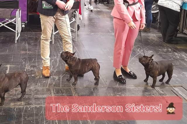 The Sanderson Sisters showcasing their talents at Crufts 2023