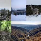 Lancashire is a truly beautiful county in winter as snow and frost settles on the hilltops. From short, gentle rambles to long distance treks, New Year’s is a wonderful time to get back to nature with these 11 family friendly walks