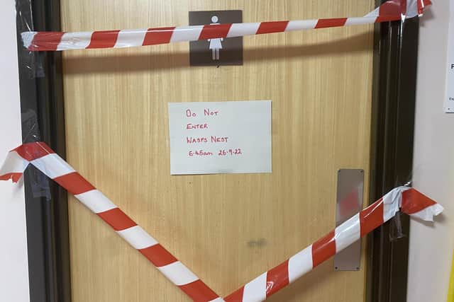 The hospital trust has confirmed that there never was a wasps nest in the toilets.