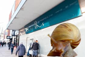From retail sales to snails? Preston City Council is checking out whether the former BHS branch on Fishergate has been used for agricultural purposes (main image: National World; inset: Pixabay)