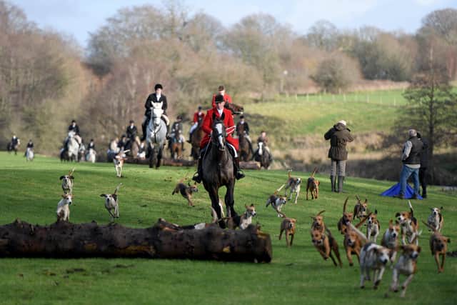 The public were invited to witness the traditional Holcombe Harriers Boxing Day parade, who set off from The Railway Hotel in Pleasington and then performed a demonstration of trail laying near the River Darwen