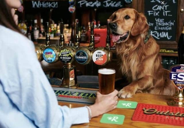 The Bellflower at Garstang won the Best Pub for Dogs trophy at the Great British Pub of the Year Awards in 2022 and 2023.