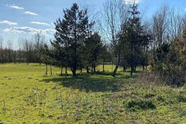 Some of the young trees on the site will have to be removed, but more will be planted overall (image: Google/FWP Limited, via Preston City Council planning portal )