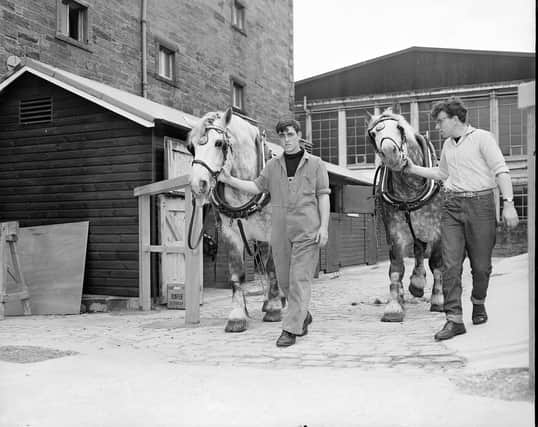Horses used to pull carts filled with barrels at Edinburgh's Ushers Brewery in July 1961.