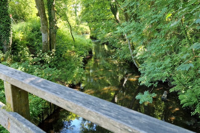 Take a glorious walk through the trees and by the streams at Yarrow Valley Country Park