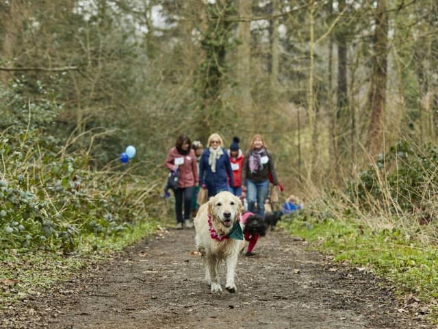 ‘Paw-some’ fundraising challenge: Lancashire dog owners are being urged to walk 60