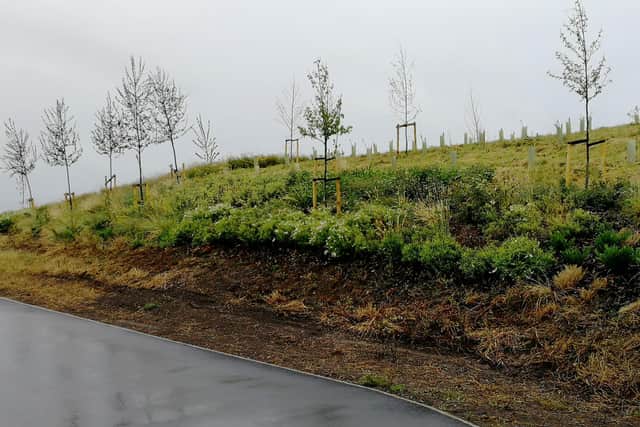 Tonnes of material that was dug up to make way for the new roads was re-used to create natural-looking landscape features alongside the routes