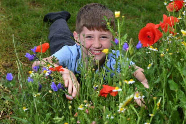 Barnacre Road Primary School wild flower garden - Carter
