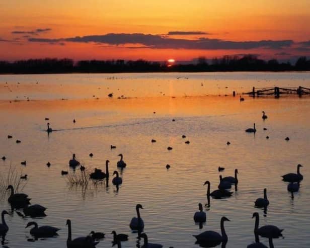 WWT Martin Mere, Fish Lane, Burscough.