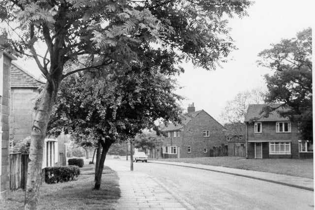 Anyone recognise this leafy street in Leyland? The image was taken in 1978