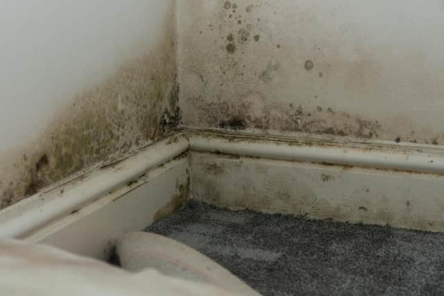Mould can cause a range of severe lung conditions called Aspergillosis