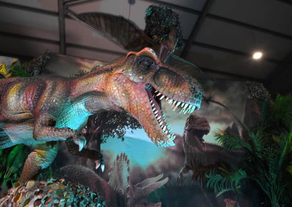 Tooth and claw - some of the cresidents at the Jurassic Earth warehouse in Leyland