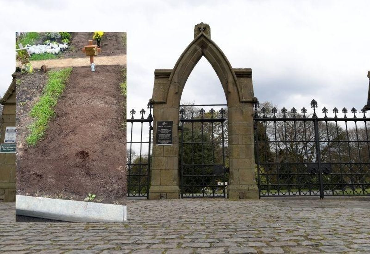 Owners who let their dogs poo on graves should 'show more respect' says grieving daughter
