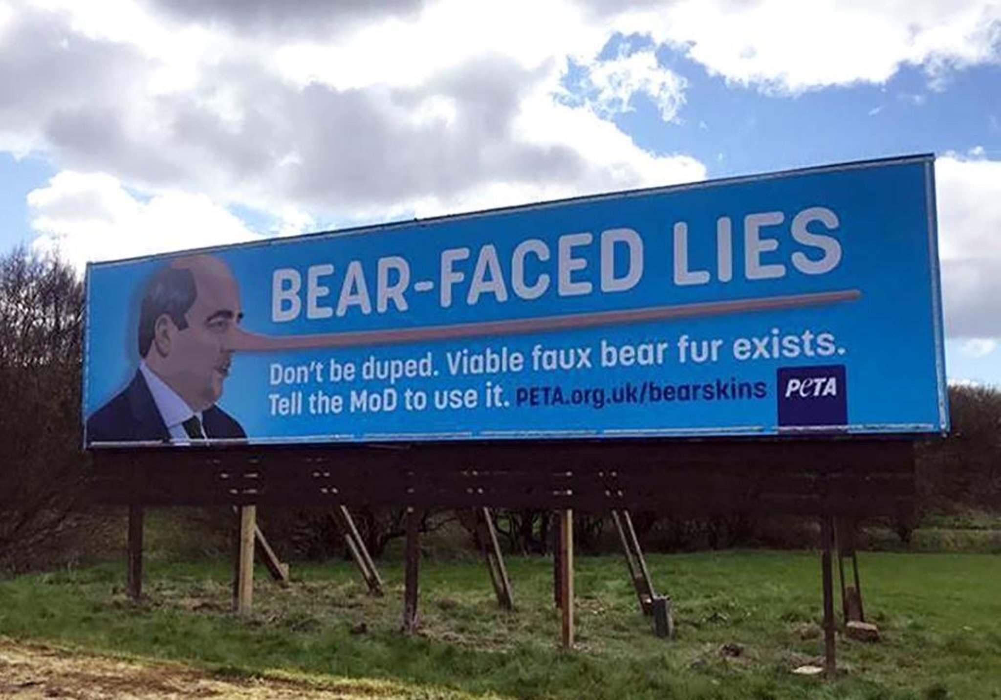 'BEAR FACED LIES': Animal rights activists blast Wyre and Preston North MP Ben Wallace