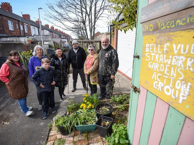 A group of residents have created a community garden in their alleyway called Strawberry Gardens