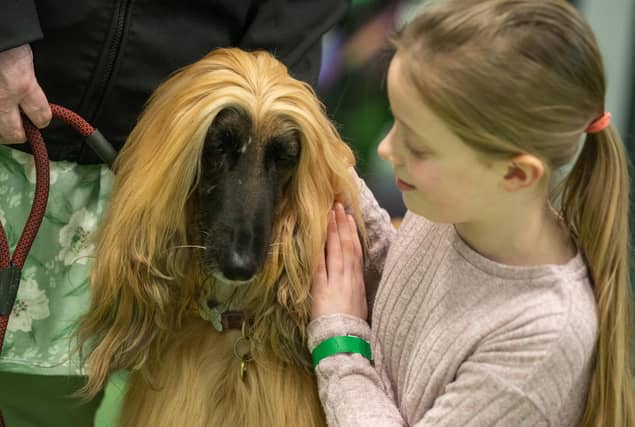 The workshop is aimed at children aged between 4-11 to educate them on safe interactions with dogs at Inspire Youth Zone, Chorley.