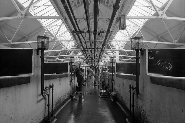 Vats at Youngers Brewery, in Holyrood, in May 1960.