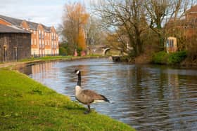BM - Feniscowles is a stunning area with plenty of green space and waterways to enjoy